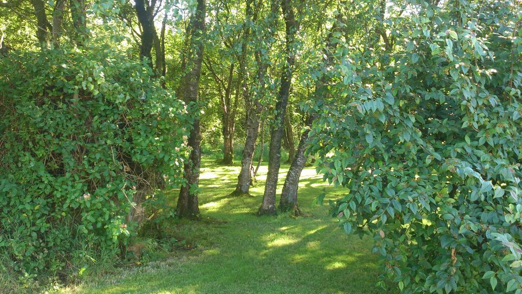 Glen Lodge Ballymoney Luaran gambar
